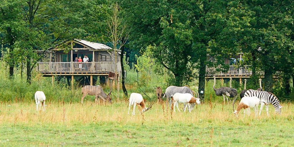 Nuit insolite zoo Auvergne Le pal