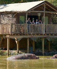 Les Lodges du Pal – Zoo – Parc d’attractions