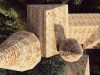 cabane chateau dans les arbres