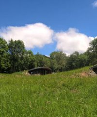 Les bulles d&rsquo;herbes