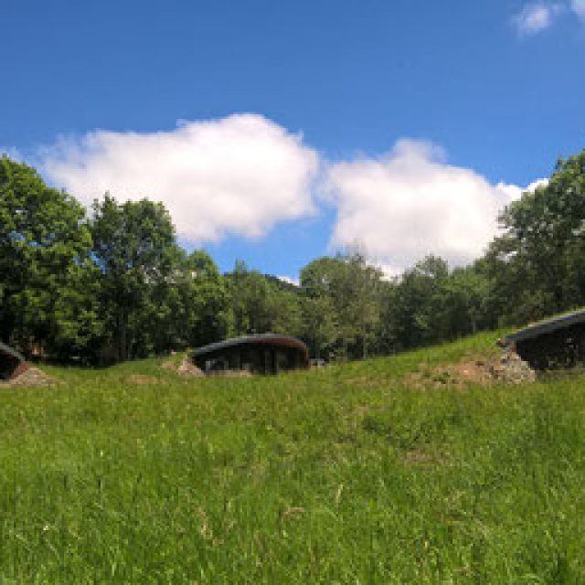 Les bulles d&rsquo;herbes